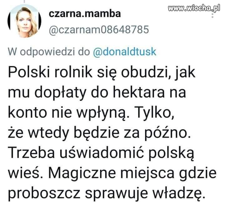 Pobudka 