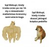 Prawdy polskie