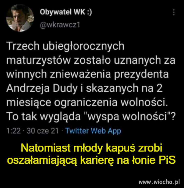 Błyskawiczna kariera kapusia 
