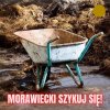 Odpowiesz chłopie za wszystko, co uczyniłeś ...
