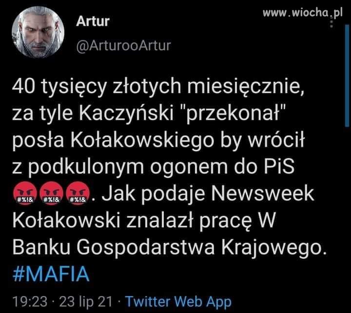 Jednak Polak to świnia 