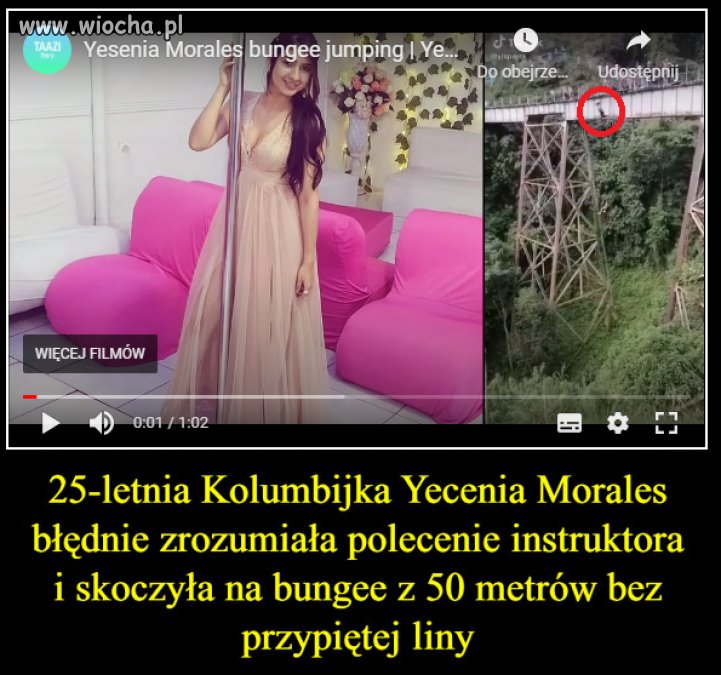 Gdyby głupota mogła latać? A no, przecież lata.
