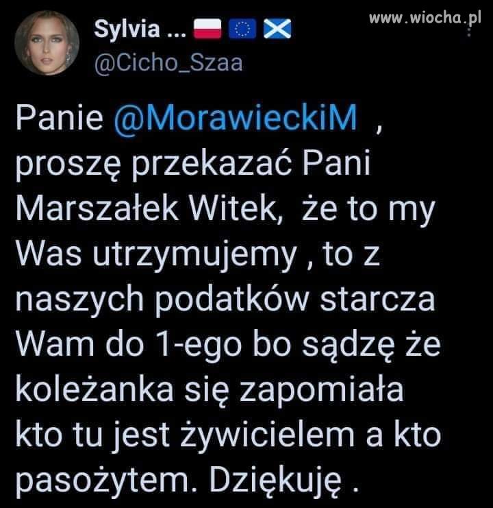 Żywiciel 