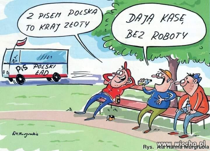 Typowi wyborcy pis