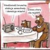 Stary szaleje 