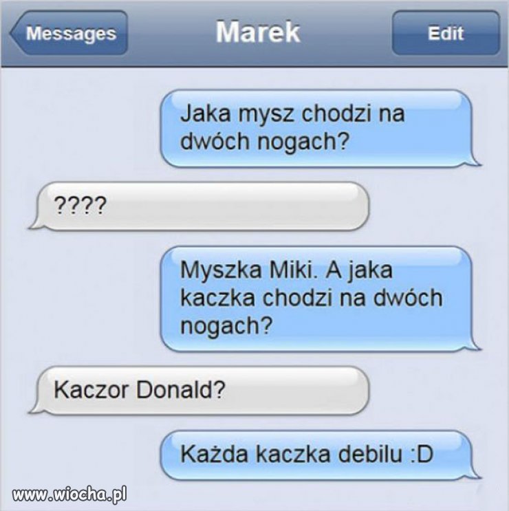 Zagadka 