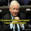 Samorząd +