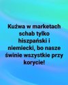Niestety