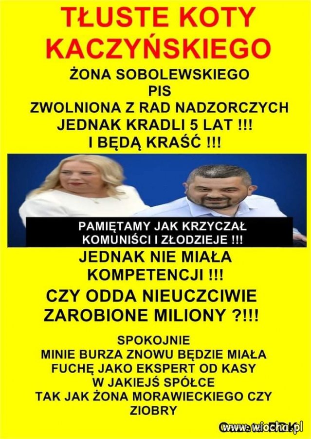 Tłuste koty