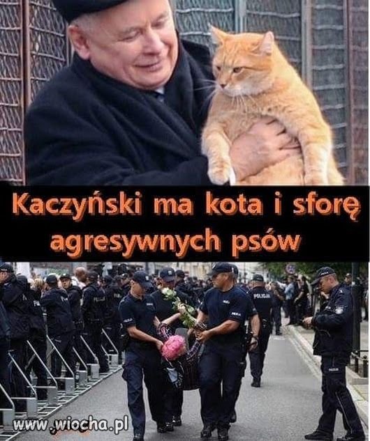 Miłośnik zwierząt