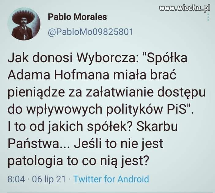 Rządy PiS to jedna wielka patologia