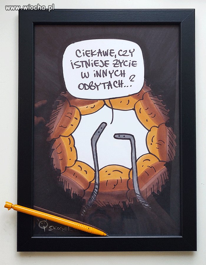 Z życia owsików!
