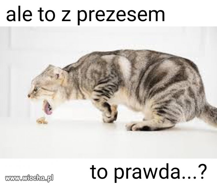 Odczucie estetycznie ambiwalentne