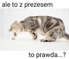 Odczucie estetycznie ambiwalentne
