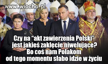 Tym Polakom akurat się wiedzie