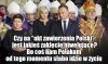 Tym Polakom akurat się wiedzie