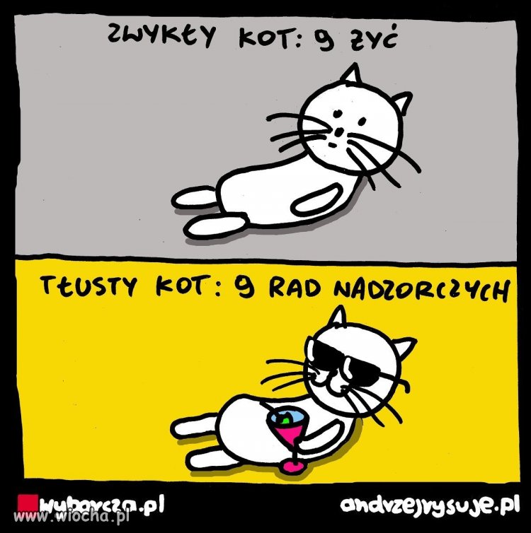 Tłuste koty