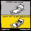 Tłuste koty