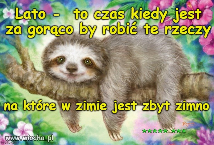 Motto dnia