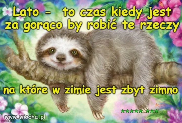 Motto dnia