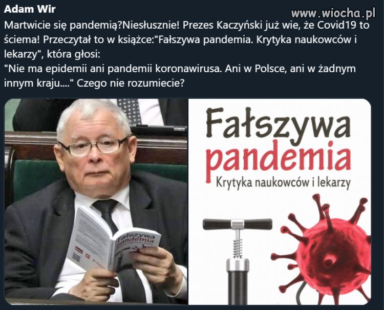 Czego nie rozumiecie