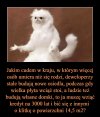 Polska