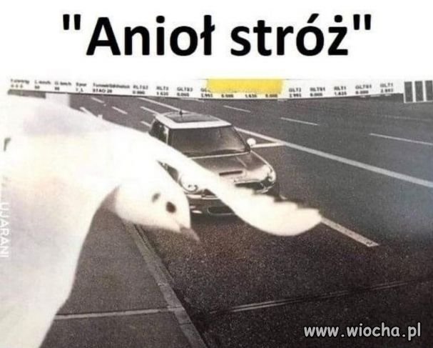 Jednak istnieje