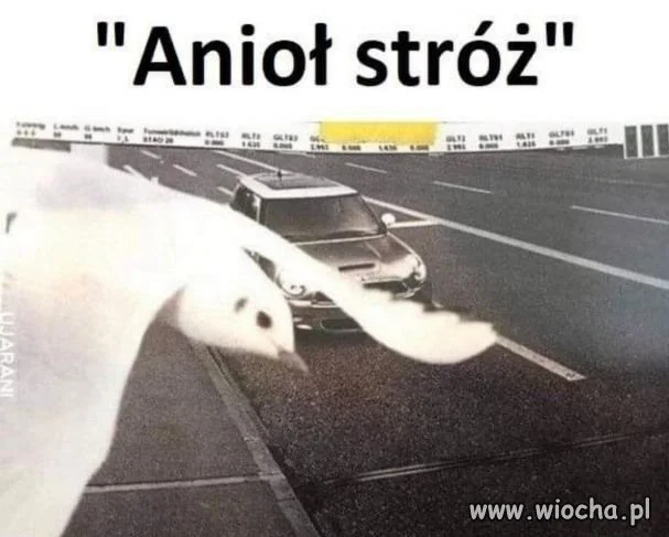 Jednak istnieje