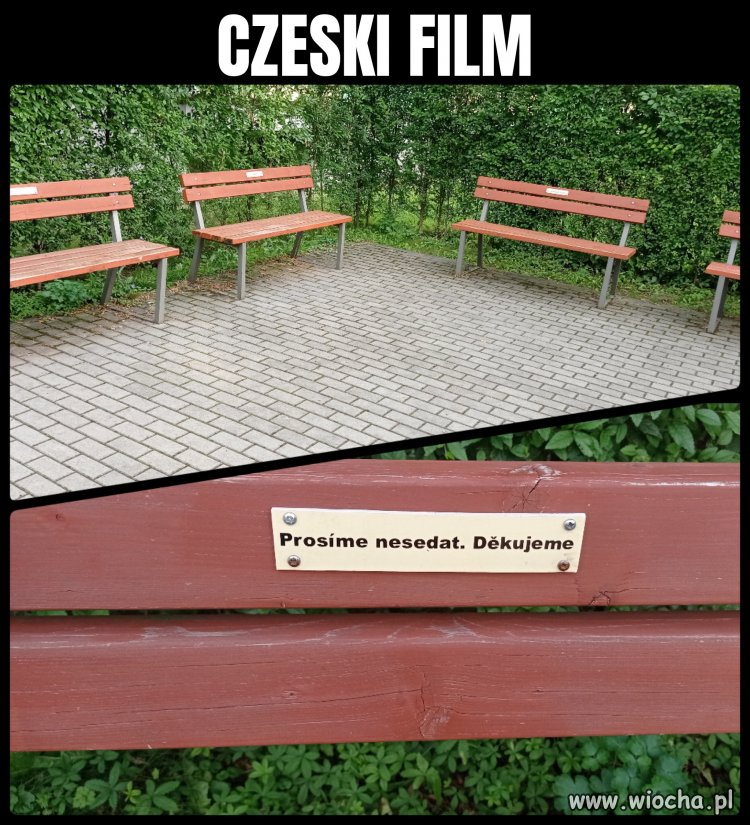 Idziesz sobie zmęczony przez park, wreszcie je dostrzegasz i...