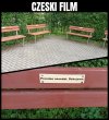 Idziesz sobie zmęczony przez park, wreszcie je dostrzegasz i...