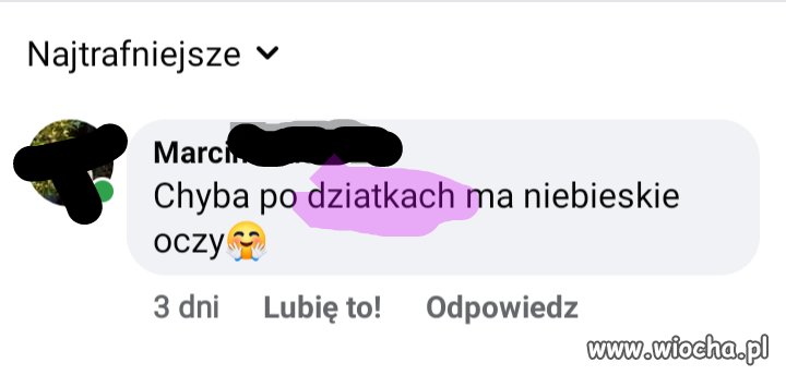 Ojczyzna-polszczyzna