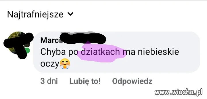 Ojczyzna-polszczyzna