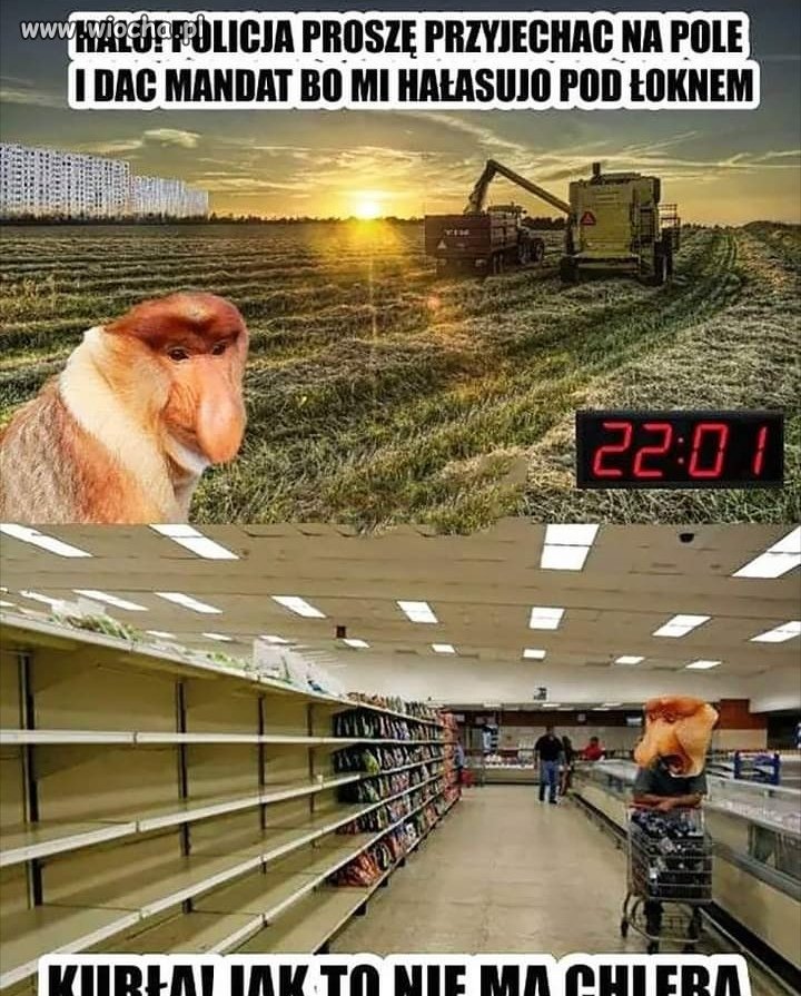 Prawdziwe