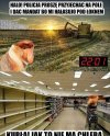 Prawdziwe