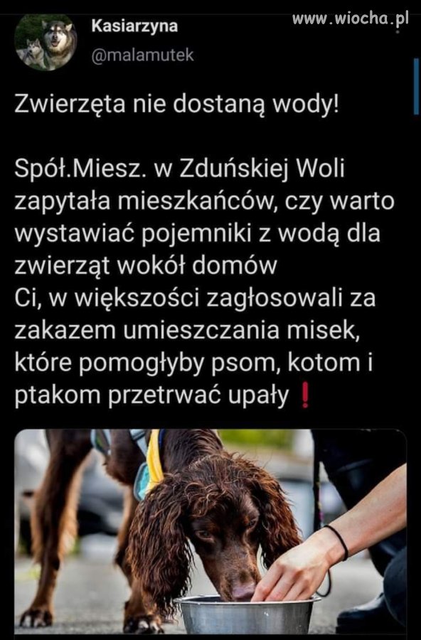 Nie mam więcej pytań. 