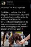 Nie mam więcej pytań. 