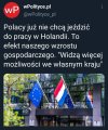 Kraina mlekiem i miodem płynąca