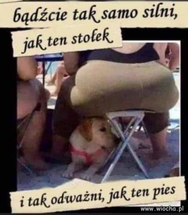 Odrobina cienia warta takiego ryzyka?   