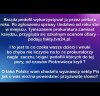 Co żeście sqrwysyny 
