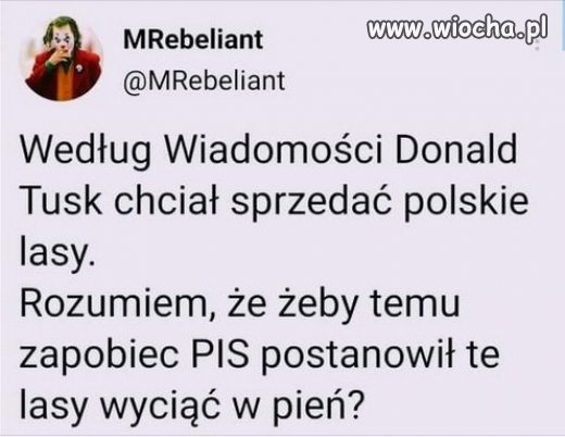 Sedno... Wina Tuska?