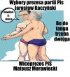 Wybory prezesa.
