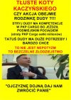 Bo PiS tylko klamie i kradnie, to ich ideologia!
