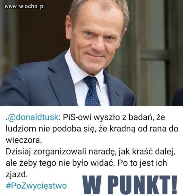 Badania 