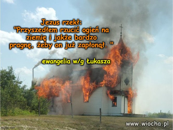 Cytując Beatę Mazurek: