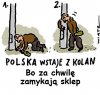 Nareszcie wstaje ...