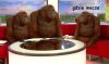 TVP sport 