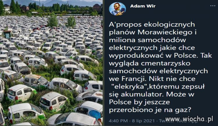 Ekologiczne plany