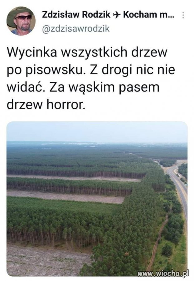 Wycinka 