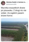 Wycinka 