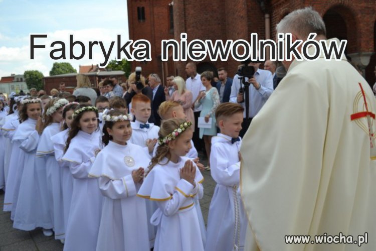 Linia produkcyjna